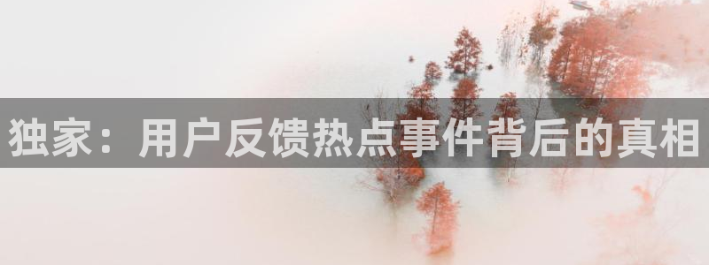 “黑料爆料网网页版：独家：用户反馈热点事件