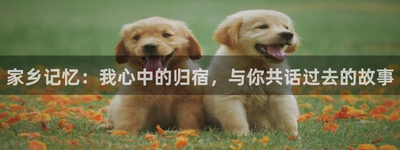 黑料不打烊最近入口：家乡记忆：我心中的归