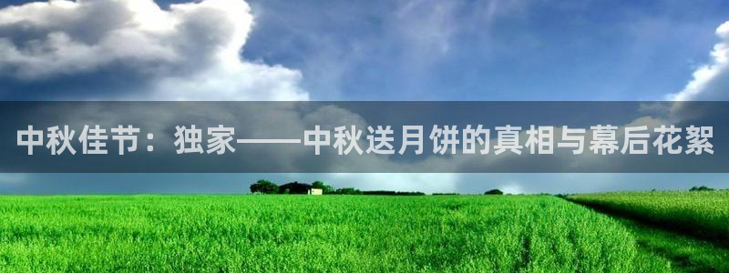 黑料免费播放：中秋佳节：独家——中秋送月