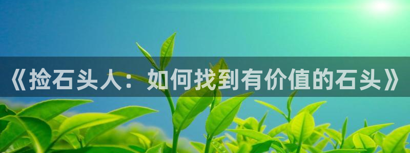 51黑料短视频：《捡石头人：如何找到有价
